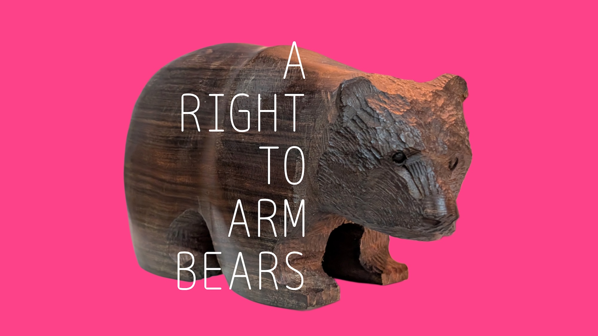 『A RIGHT TO ARM BEARS』