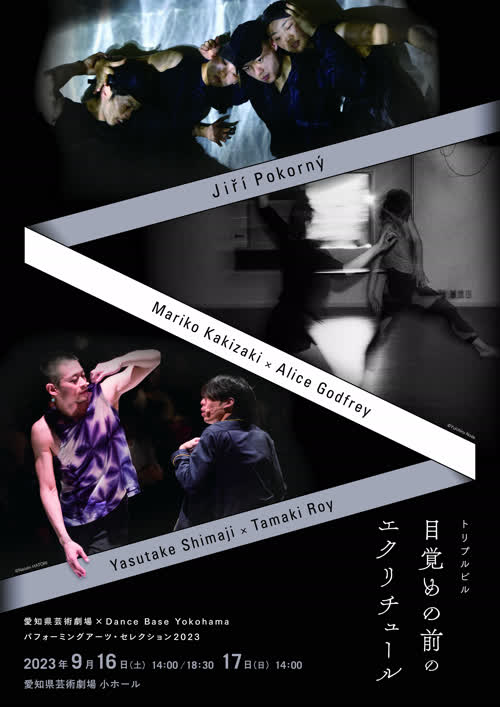 PAS in Aichi / フライヤー